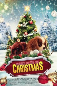 Quà Giáng Sinh Bất Ngờ | Project: Puppies for Christmas (2019)